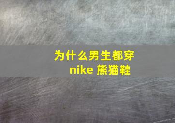 为什么男生都穿nike 熊猫鞋